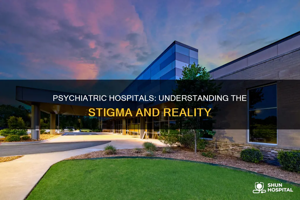 is a psychiatric hospital a loony bin