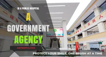 Public Hospitals: Government Agencies or Not?