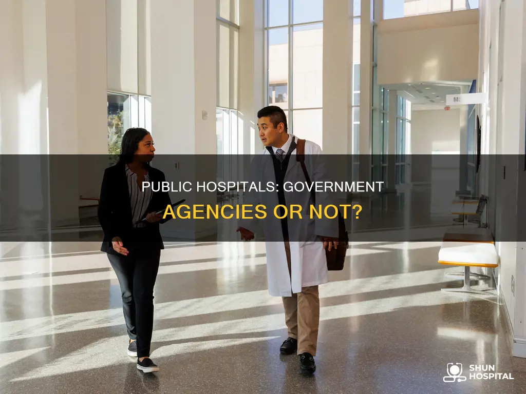 is a public hospital a government agency