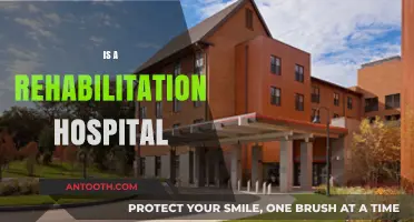 Understanding Rehabilitation Hospitals: Purpose, Benefits, and Patient Care Essentials