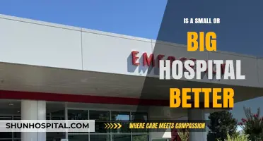 Bigger Isn't Always Better: Hospital Size Matters