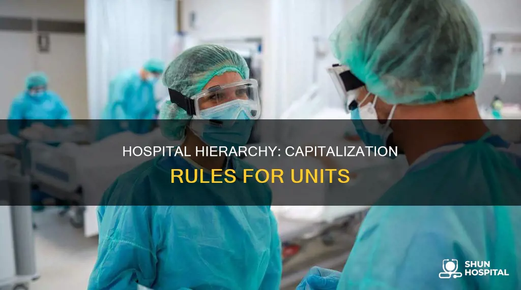 is a unit of a hospital capitalized
