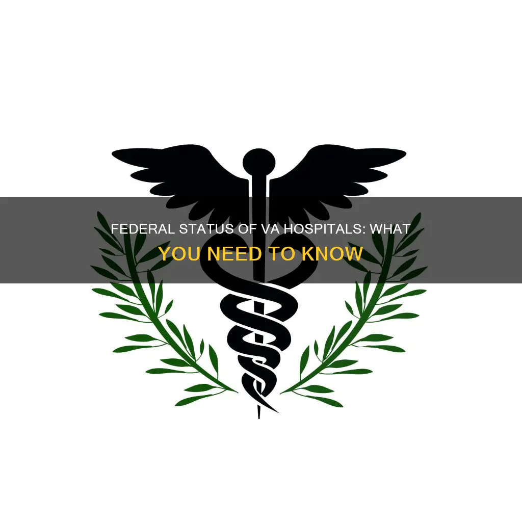 is a va hospital a federal building