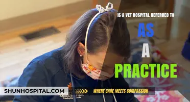 Is a Vet Hospital Called a Practice? Unraveling Veterinary Terminology