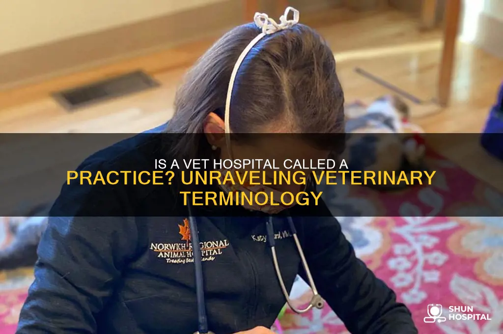 is a vet hospital referred to as a practice