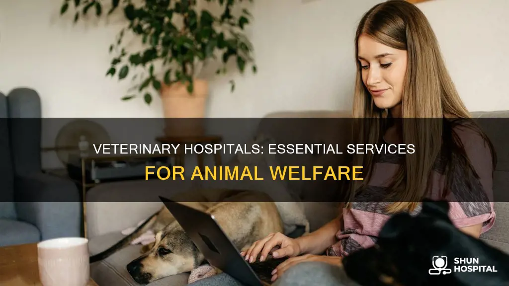 is a veterinary hospital an essential service