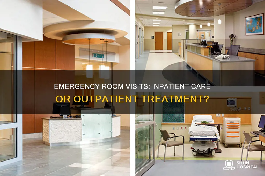 is a visit to the emergency room inpatient hospital care