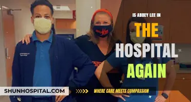 Abbey Lee's Hospital Visits: A Concerning Pattern?