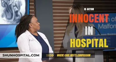 Is the Actor Innocent? Unraveling the Hospital Scandal Truth