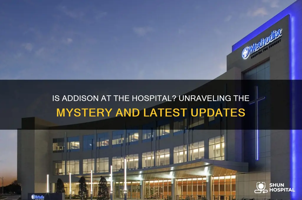 is addison at the hospital