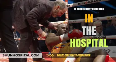 Adonis Stevenson: Hospital Stay and Recovery