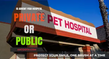 Advent Fish Hospital: Private or Public?