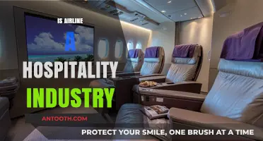 Are Airlines Part of the Hospitality Industry? Exploring the Debate