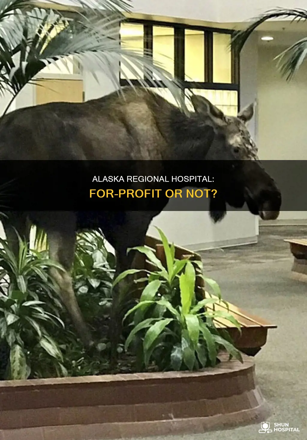 is alaska regional a for profit hospita