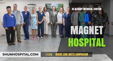 Magnet Recognition: Albany Medical Center's Status