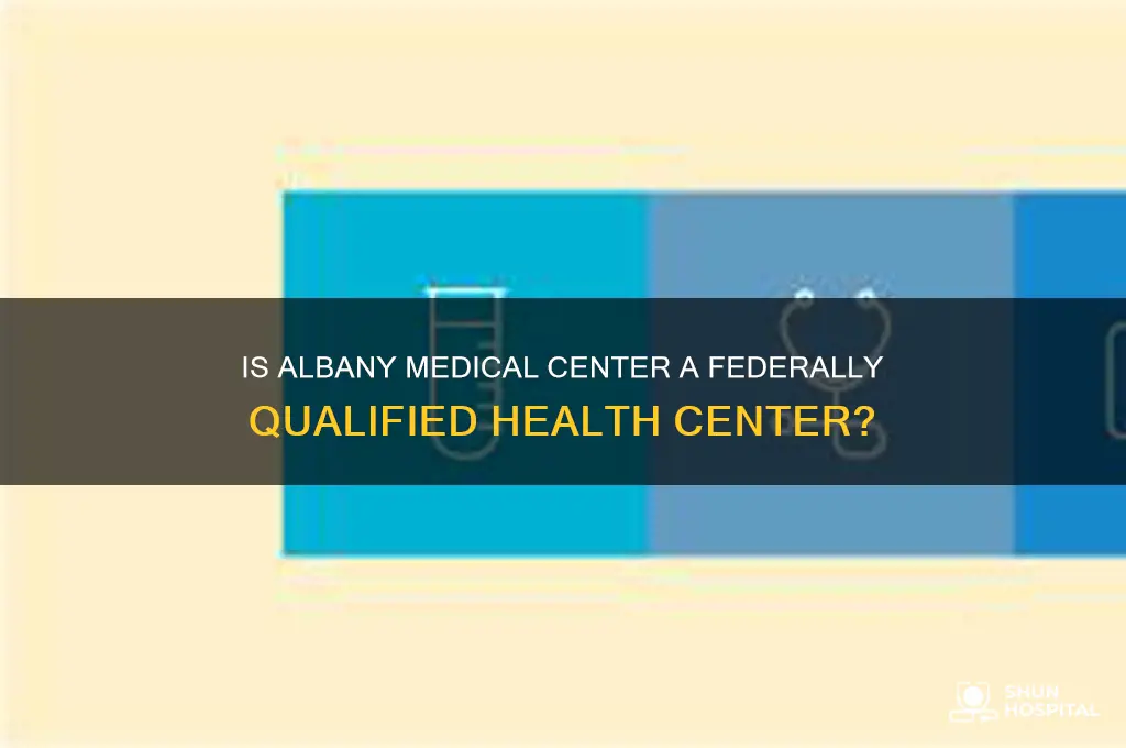 is albany medical center hospital a federally qualified health center