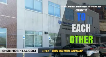 Are All UMass Memorial Hospitals Interconnected? Exploring the Network
