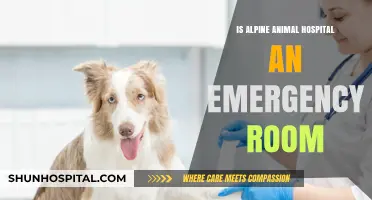 Alpine Animal Hospital: Emergency Room Services?