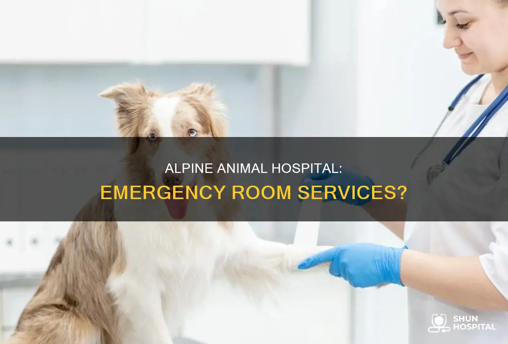 is alpine animal hospital an emergency room