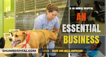 Animal Hospitals: Essential Services for Your Pets' Health