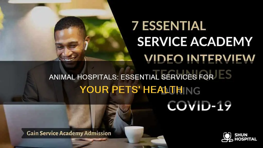 is an animal hospital an essential business