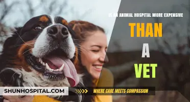 Animal Hospital vs. Vet: Comparing Costs for Pet Care