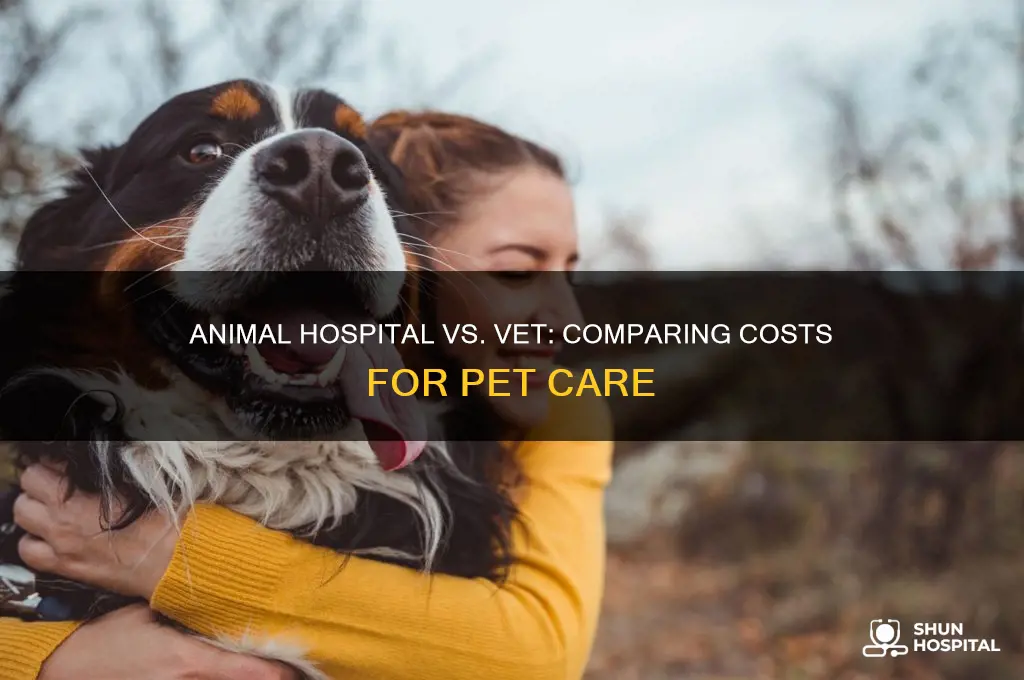 is an animal hospital more expensive than a vet
