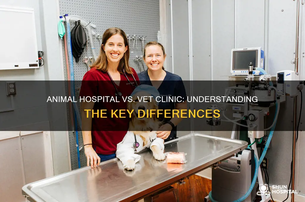 is an animal hospital the same as a vet