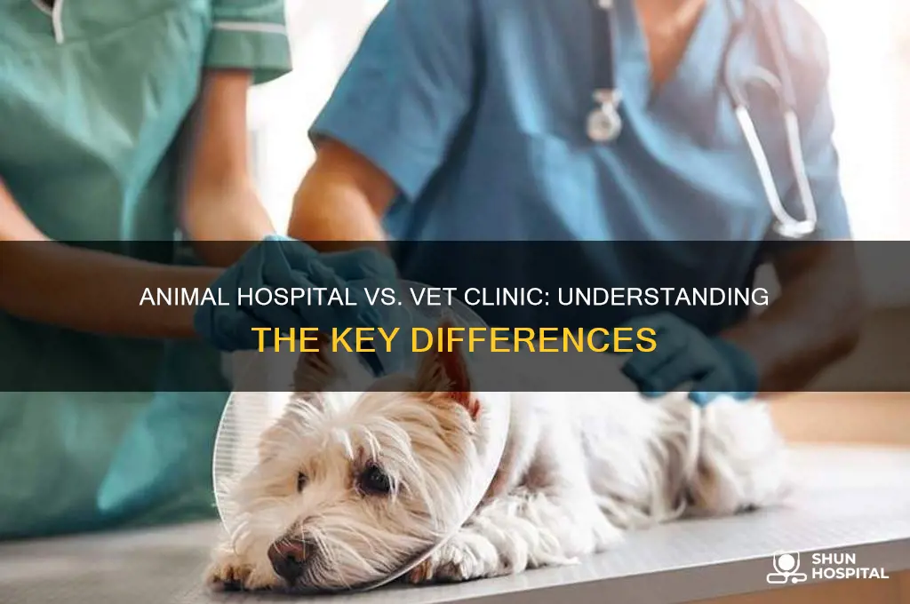 is an animal hospital the same thing as a vet