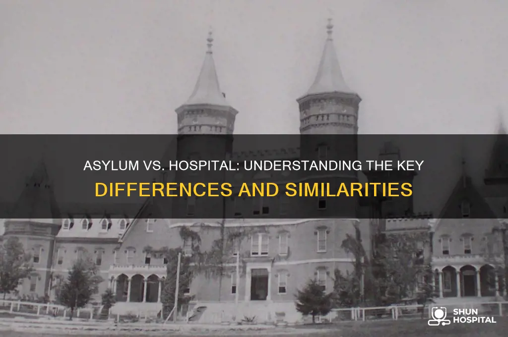 is an asylum a hospital