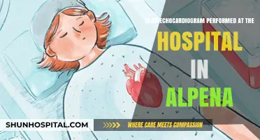 Echocardiogram Services at Alpena Hospital: What You Need to Know