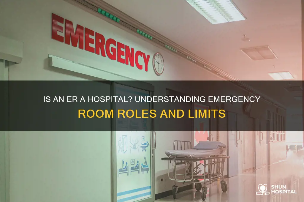 is an er a hospital