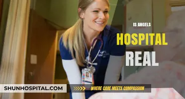 Is Angels Hospital Real? Uncovering the Truth Behind the Myth