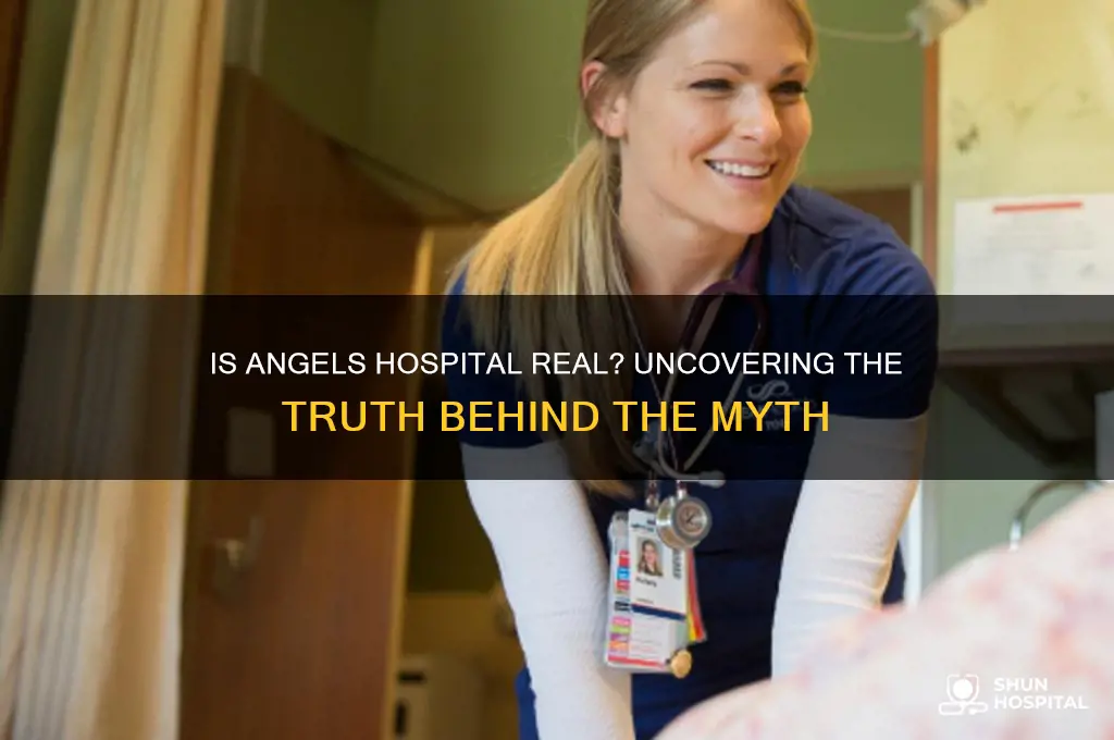 is angels hospital real