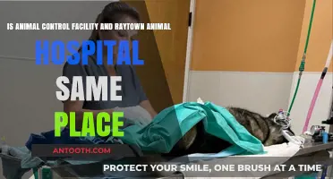 Animal Control vs. Raytown Animal Hospital: Are They the Same?