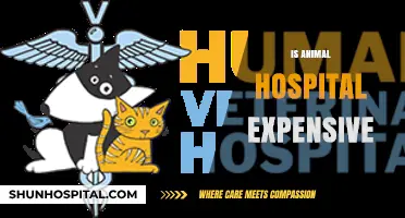 Are Animal Hospitals Costly? Uncovering Pet Care Expenses and Savings Tips