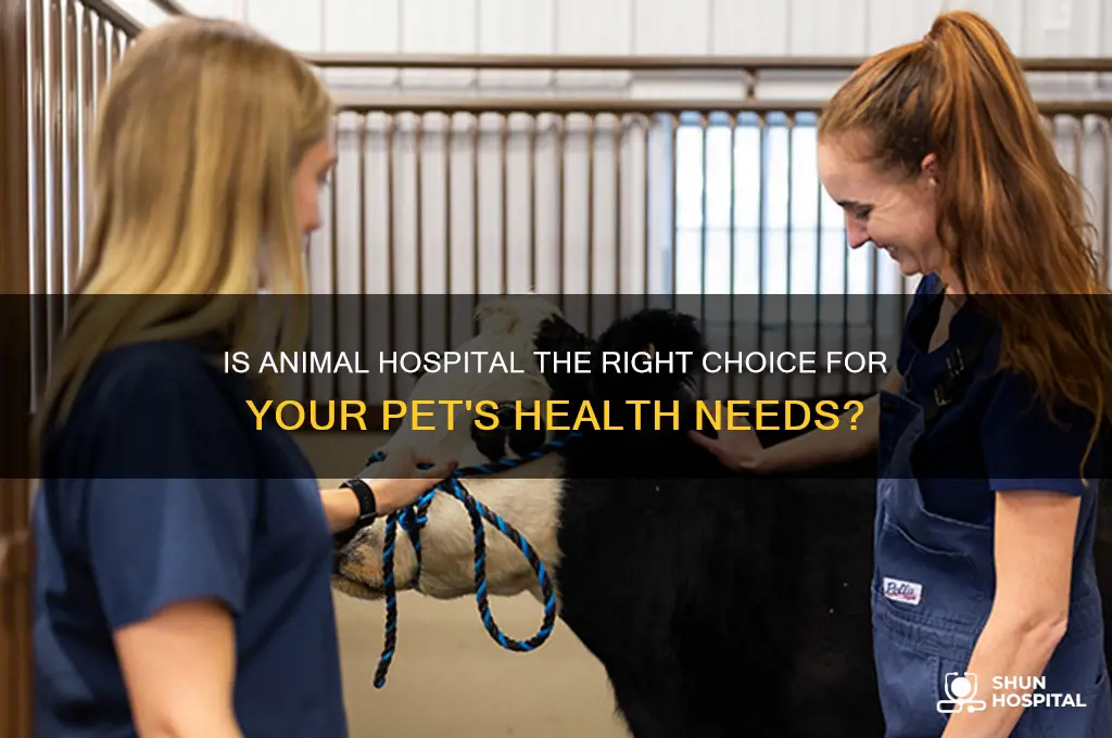 is animal hospital