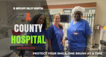Antelope Valley Hospital: A County Hospital?