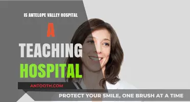 Antelope Valley Hospital: A Teaching Facility?