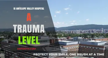 Antelope Valley Hospital: Trauma Center Status