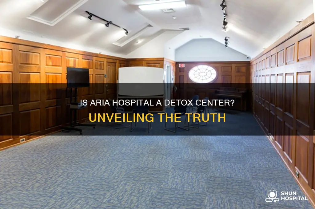is aria hospital a detox
