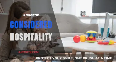 Babysitting and Hospitality: Exploring the Connection and Industry Insights