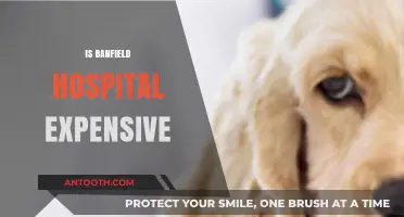 Is Banfield Pet Hospital Overpriced? A Cost Analysis for Pet Owners