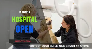 Is Banfield Pet Hospital Open Today? Check Hours and Availability