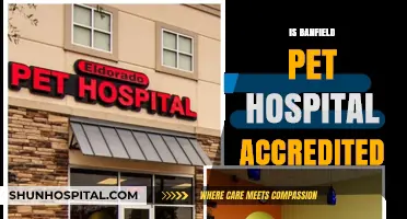 Is Banfield Pet Hospital Accredited? Exploring Their Credentials and Standards