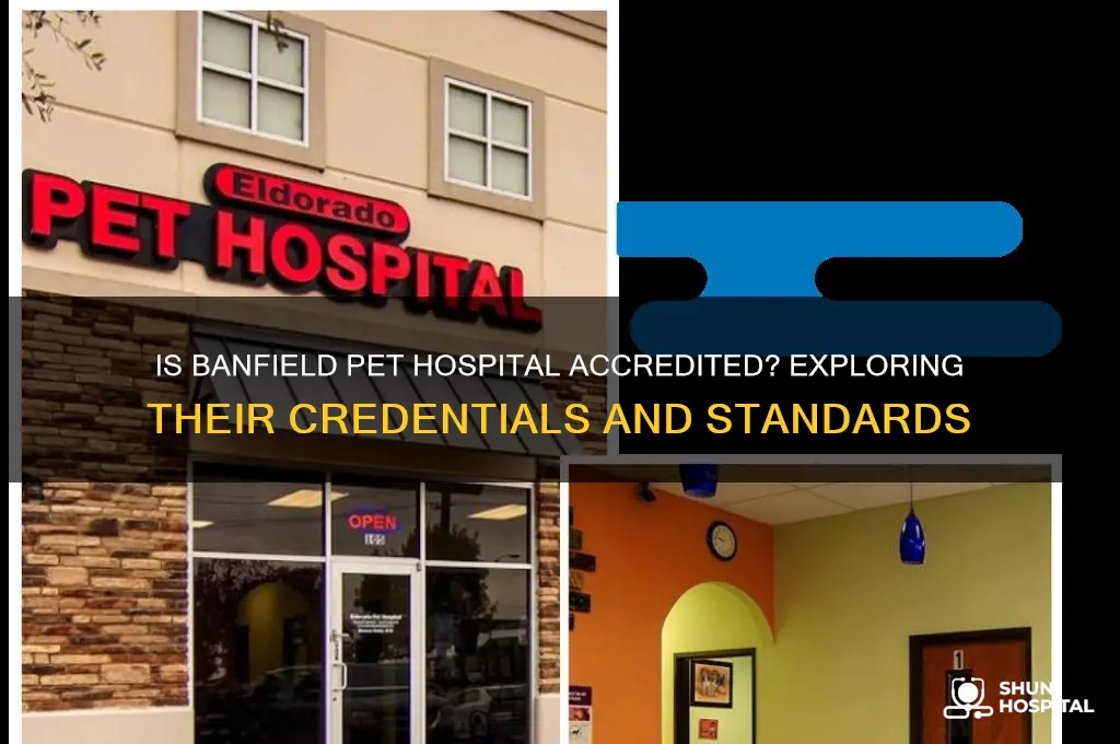 is banfield pet hospital accredited