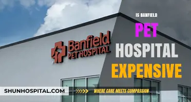 Is Banfield Pet Hospital Overpriced? Cost Analysis and Alternatives