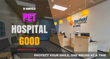 Is Banfield Pet Hospital Good? A Comprehensive Review and Analysis