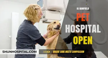 Is Banfield Pet Hospital Open Today? Check Hours and Availability
