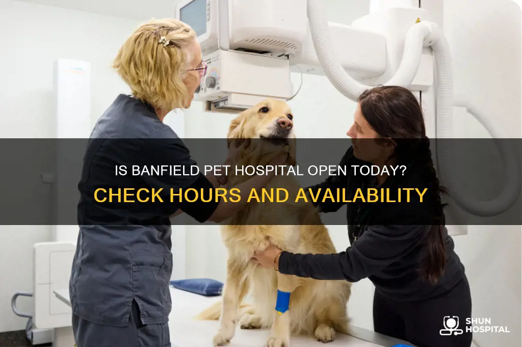 is banfield pet hospital open